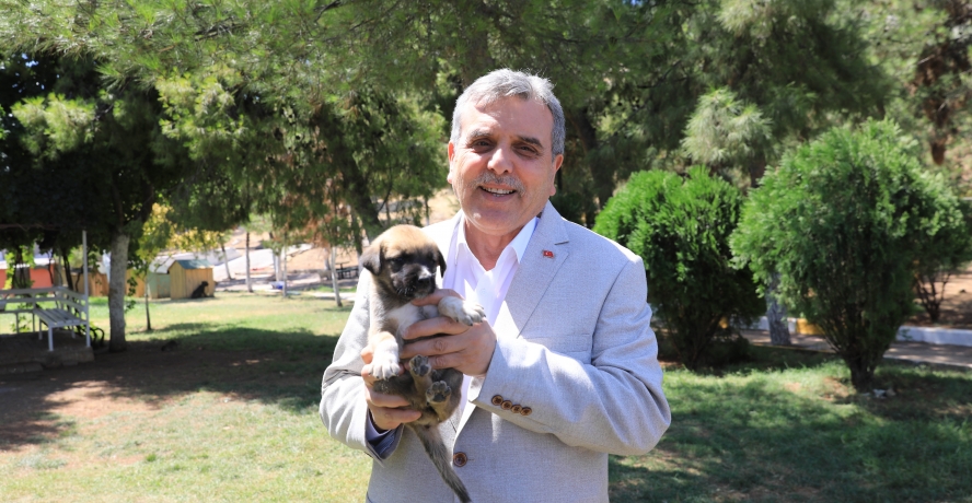 BAŞKAN BEYAZGÜL, HAYVAN BARINAĞINI ZİYARET ETTİ