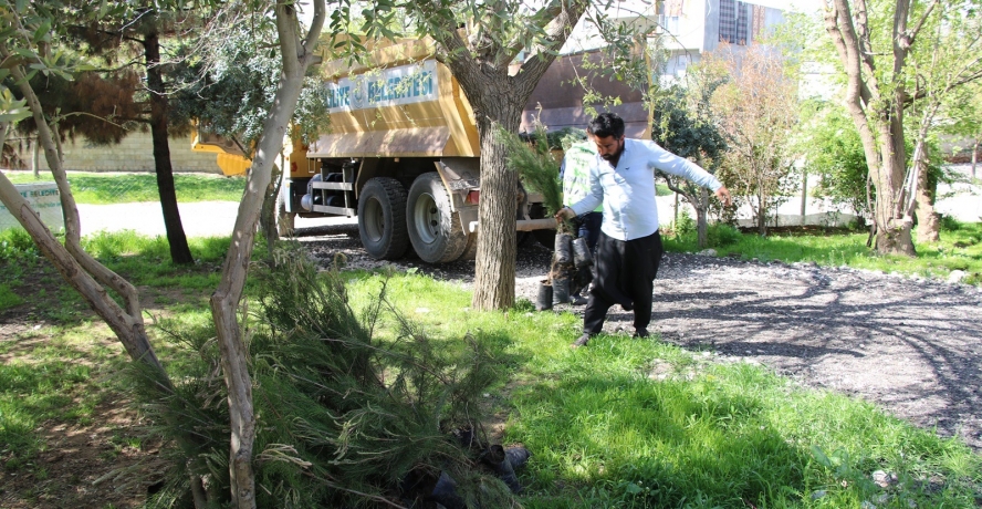 Haliliye Kırsalı Yeşile Bürünüyor 