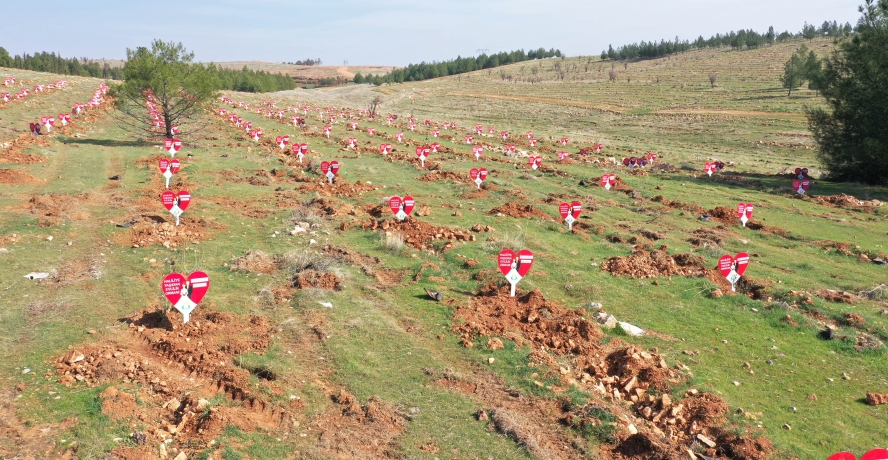 EVLENEN ÇİFTLERE ÖMÜRLÜK HEDİYE