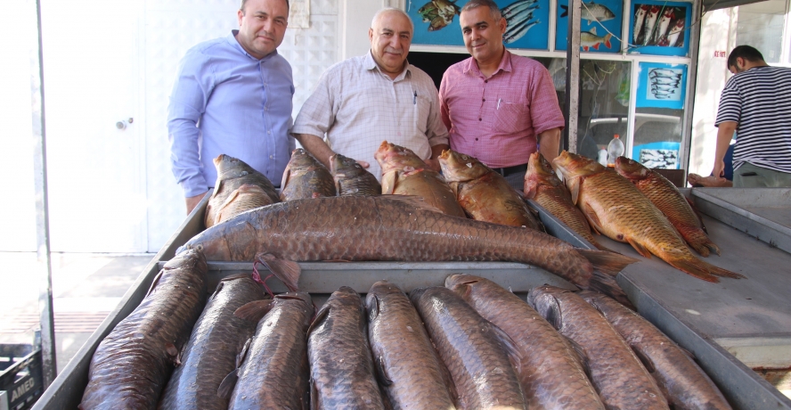 Baraj Gölü Balıkları Tezgahlarda 