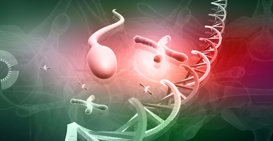 Erkek kısırlığında çığır açan yöntem Türkiye’de başarıyla uygulanıyor