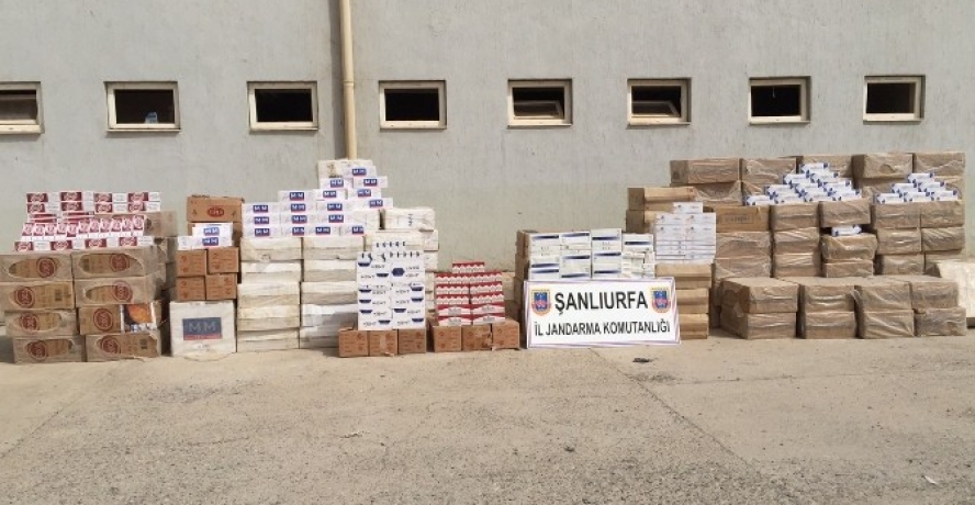 97 Bin Paket Kaçak Sigara Ele Geçirildi