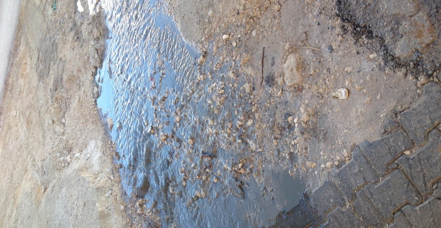 ŞUSKİ’nin suyu çıktı! Mahalleli isyanlarda