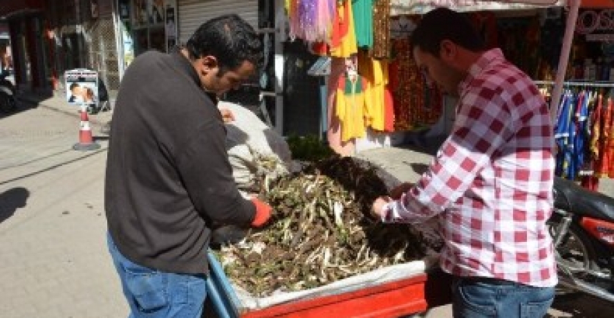 Baharın Müjdecisi Kenger Otu Pazara İndi