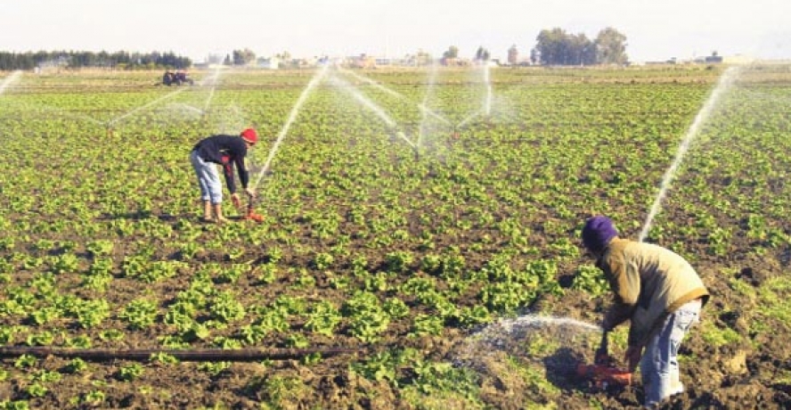 Bakan Çelik Milyonlarca Çiftçiye Müjdeyi Verdi