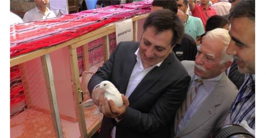 Dünya Barışı Umuduyla 63 Güvercin Gökyüzüne Bırakıldı
