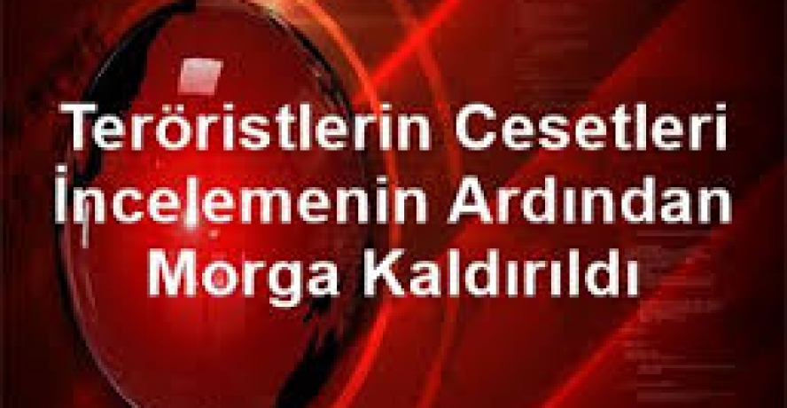 Teröristlerin Cesetleri İncelemenin Ardından Morga Kaldırıldı
