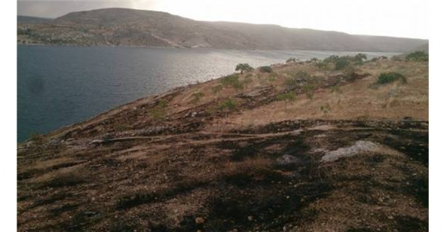 Halfeti’de fıstık tarlasındaki ağaçlar ateşe verildi