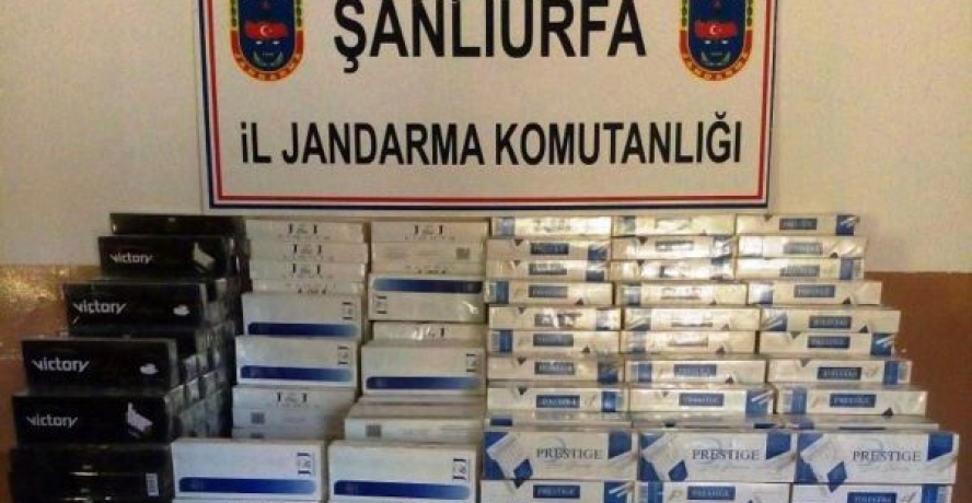 Şanlıurfa’da 22 bin paket kaçak sigara ele geçirildi