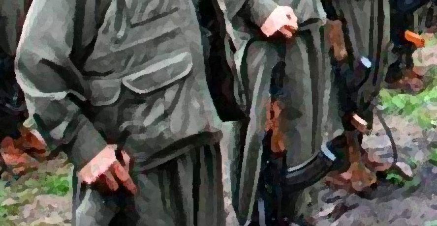 Viransehir’de PKK’lı 1 kadın yakalandı
