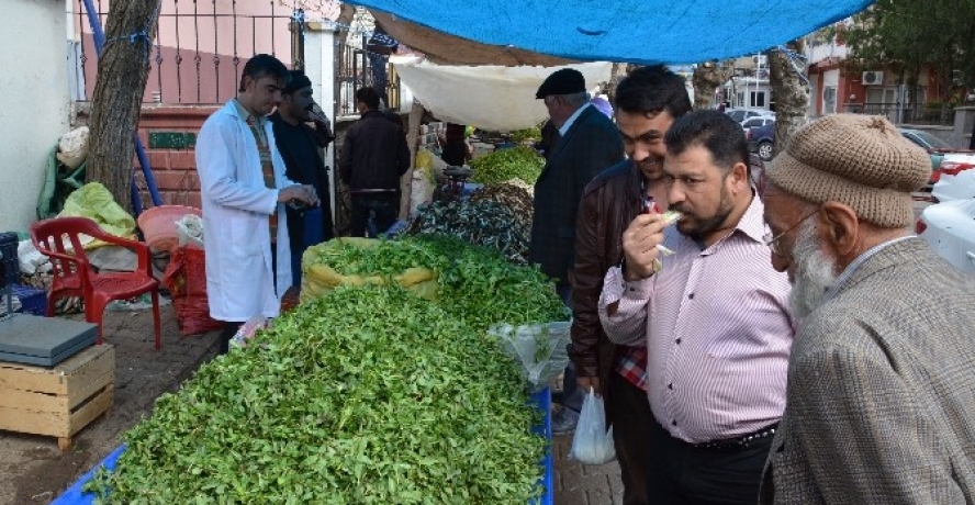 Baharın Müjdecisi Bitkiler Pazara İndi