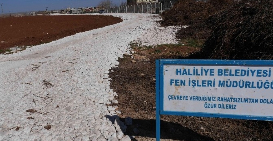 Haliliye Belediyesi Kırsal Mahallelerde Yeni Yollar Yapıyor