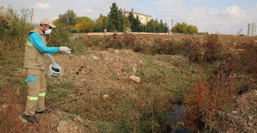 Haliliye’de Larva Mücadelesi Kırsal Mahallelerde De Devam Ediyor