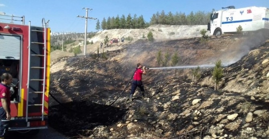 Ormanlık alanda yangın çıktı