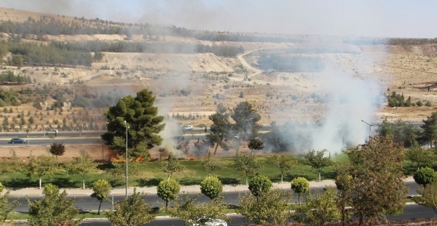 Şanlıurfa’da ağaçlık alanda yangın