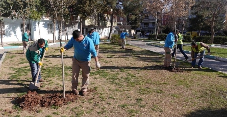 Yemyeşil Bir Haliliye İçin Ağaçlandırma Çalışması Başlatıldı