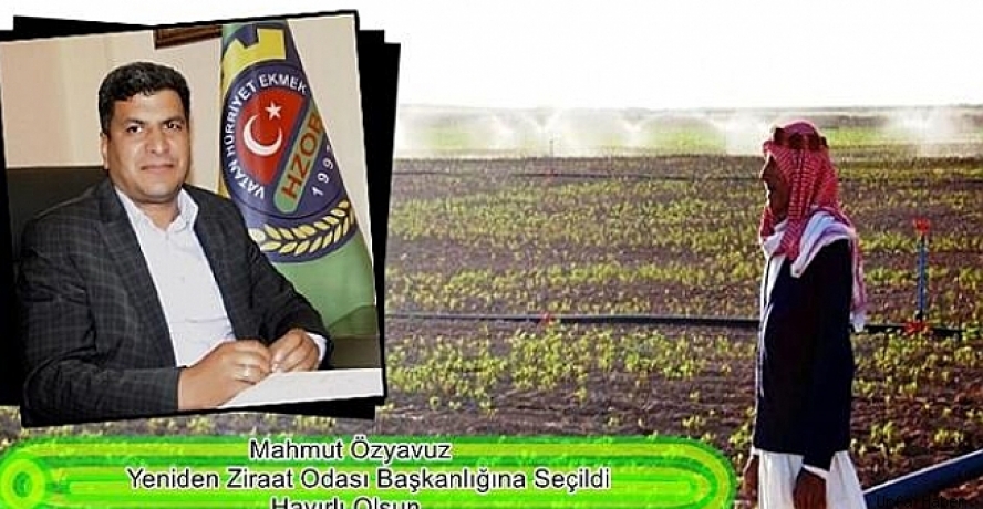 Ziraat Odası’nda Mahmut Özyavuz fark attı